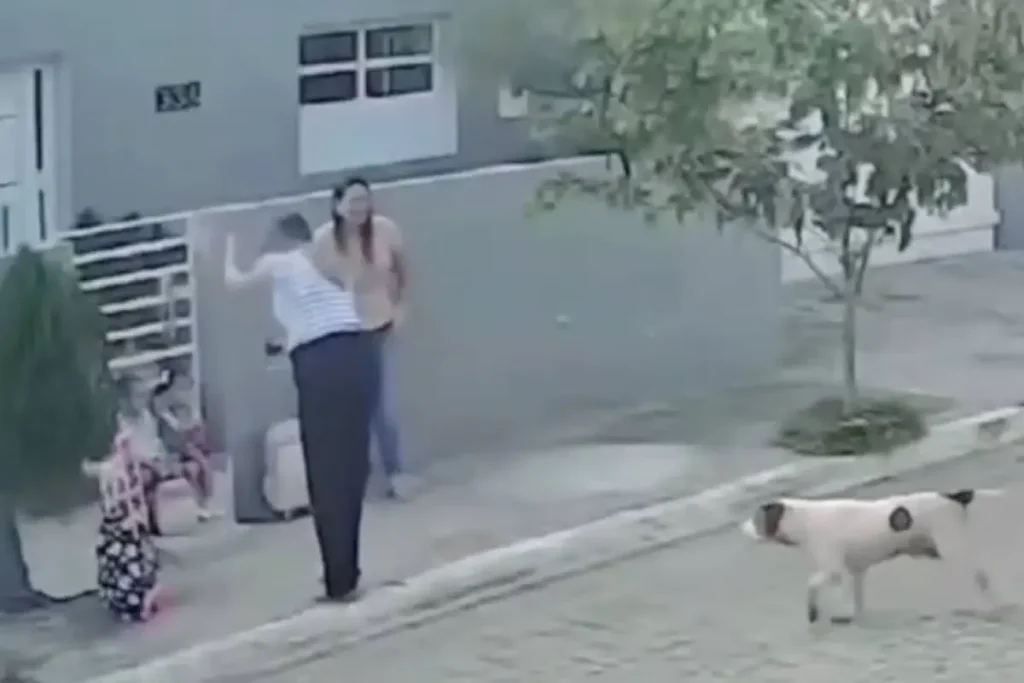 Perro ataca a dos niñas mientras esperaban autobús escolar