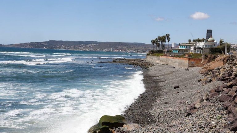 Alerta de tsunami: Marina revela estados mexicanos vulnerables tras sismo en Rusia