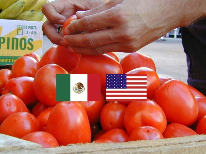 Impacto de Cuotas de EU: Exportación de Jitomate Cae 12%