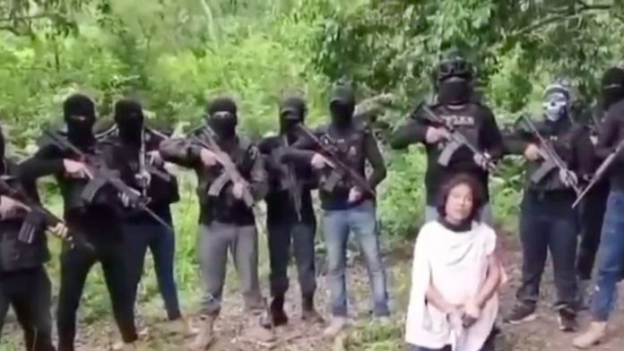 La operación del Cártel Mafia Veracruzana tras el homicidio de Irma Hernández La operación del Cártel Mafia Veracruzana tras el homicidio de Irma Hernández