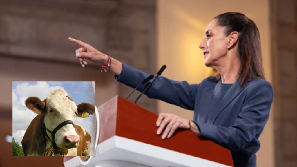 México y EE. UU. definen indicadores para frontera por gusano barrenador