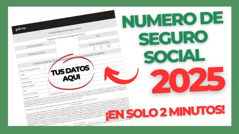 Número de Seguridad Social: Guía digital para obtener y gestionar tu NSS