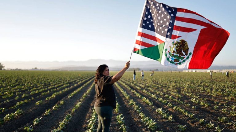 Paro agrícola migrante: Desafío a redadas de ICE en Estados Unidos