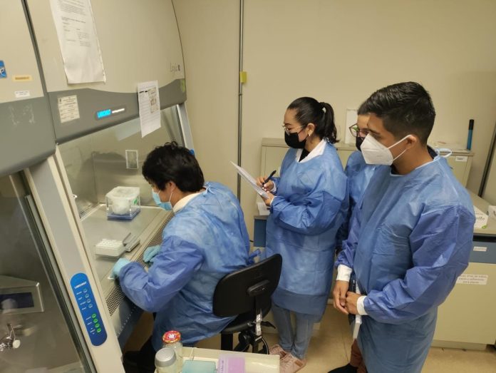 Caso viruela símica: Internan a paciente en hospital de Cancún