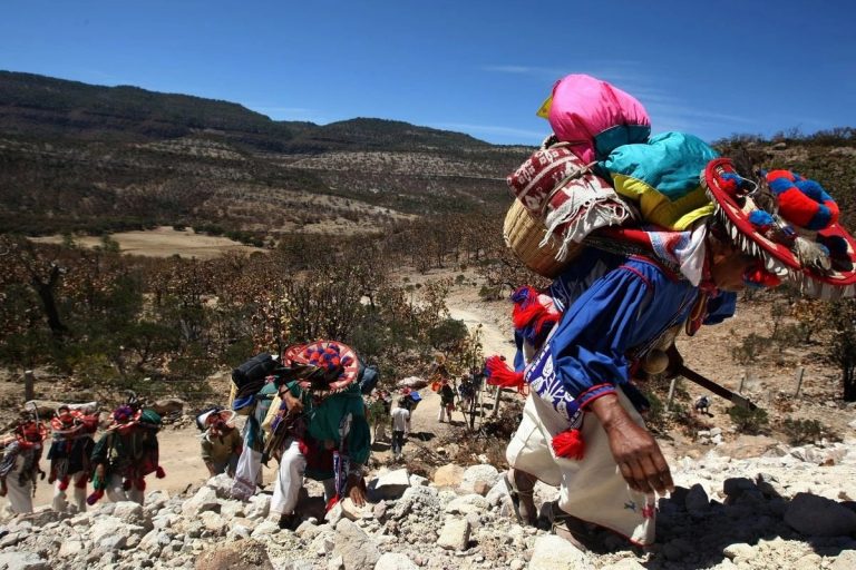 Ruta Wixárica: UNESCO declara patrimonio mundial vivo