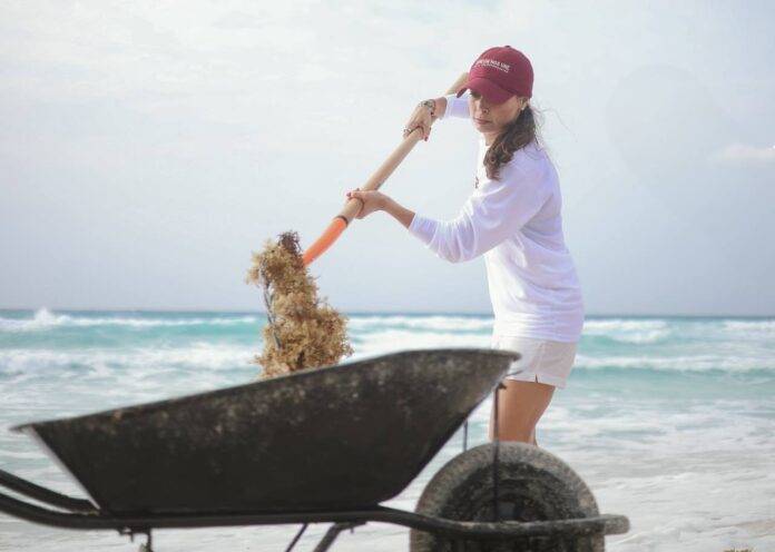 Sargazo en Cancún- La alcaldesa Ana Paty Peralta asegura que no está en todas las playas Sargazo en Cancún: La alcaldesa Ana Paty Peralta asegura que no está en todas las playas