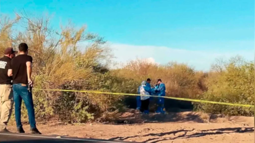 Hallan restos humanos de hasta siete personas en Pitiquito, Sonora