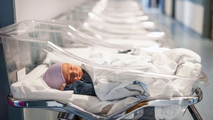 El mínimo de fertilidad de 2024 en EE. UU.: un cambio demográfico y sus implicaciones El mínimo de fertilidad de 2024 en EE. UU.: un cambio demográfico y sus implicaciones