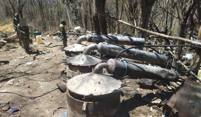 Autoridades desmantelan laboratorio clandestino en Culiacán, Sinaloa, incautando metanfetamina y precursores por $81 millones. Golpe crucial al narcotráfico.