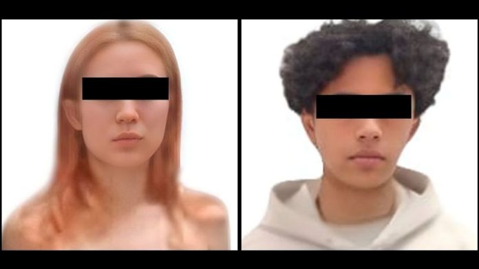 Feminicidio en Edomex: Sobrina y pareja vinculados por crimen de Elsa Livier