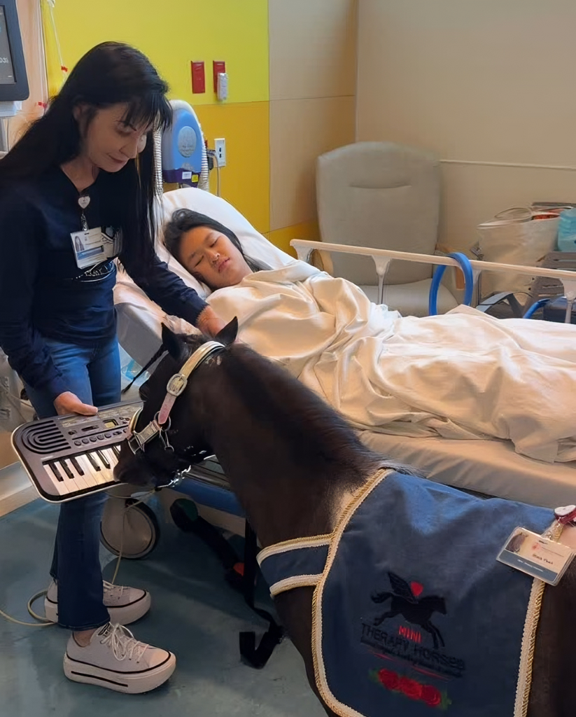 El conmovedor despertar viral del "pony pianista"