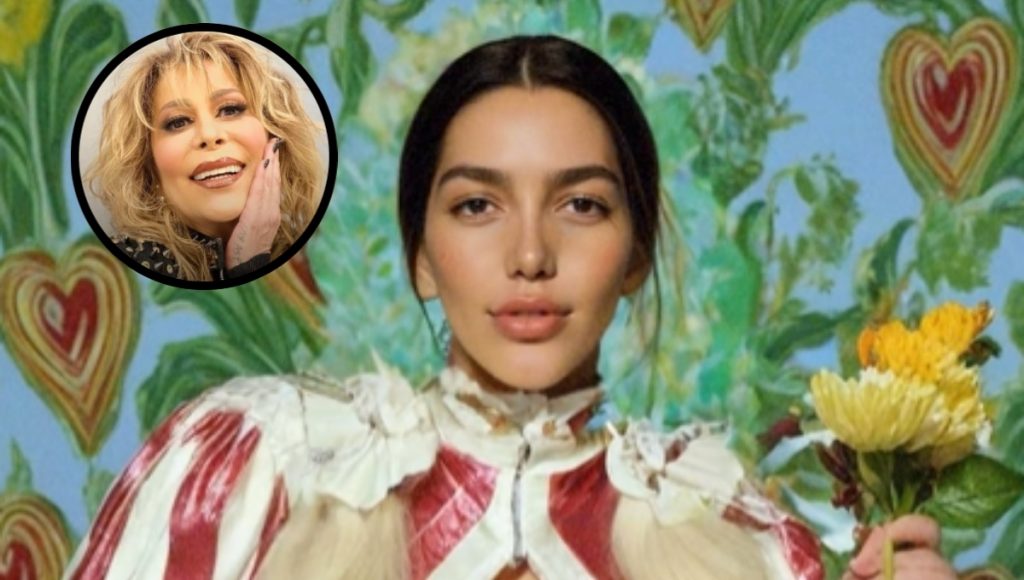 Alejandra Guzmán hospitalizada: Frida Sofía reaparece en redes con un video