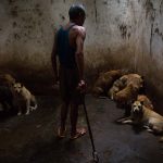 Maltrato animal en Metepec: vecinos denuncian grave caso en Infonavit San Gabriel