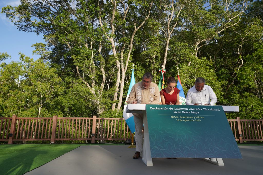 Acuerdo trinacional protege la Gran Selva Maya: 5.7 millones de hectáreas salvadas