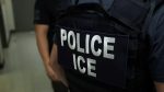 Agentes de ICE detienen a residente legal tras viaje familiar por una falta menor de hace 20 años