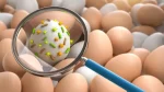 Alerta por brote de salmonela en Estados Unidos: huevos contaminados causan hospitalizaciones
