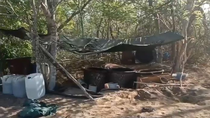 Desmantelan laboratorio de metanfetaminas en Nayarit