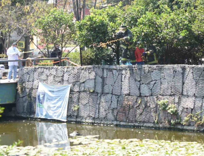 Encuentran cuerpo de mujer en Canal Nacional, CDMX- inician investigaciones Encuentran cuerpo de mujer en Canal Nacional, CDMX: inician investigaciones