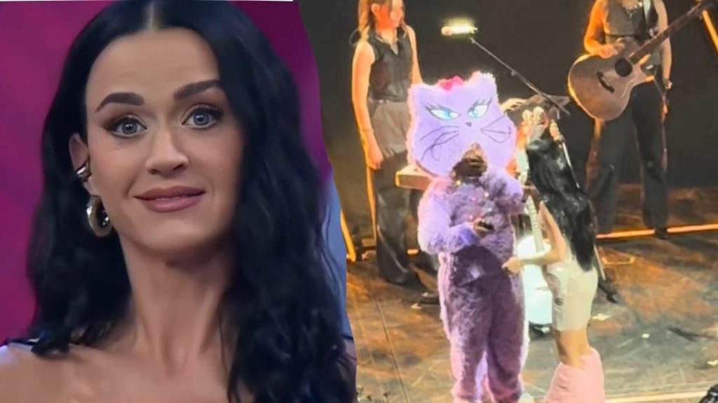 Fan mexicano se disculpa con Katy Perry por su experiencia en Venga La Alegría