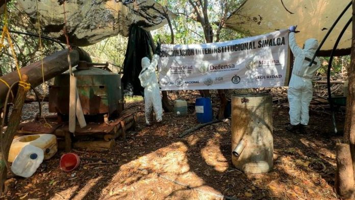 Golpe al crimen en Sinaloa: inhabilitan narcolaboratorio y aseguran arsenal Golpe al crimen en Sinaloa: inhabilitan narcolaboratorio y aseguran arsenal