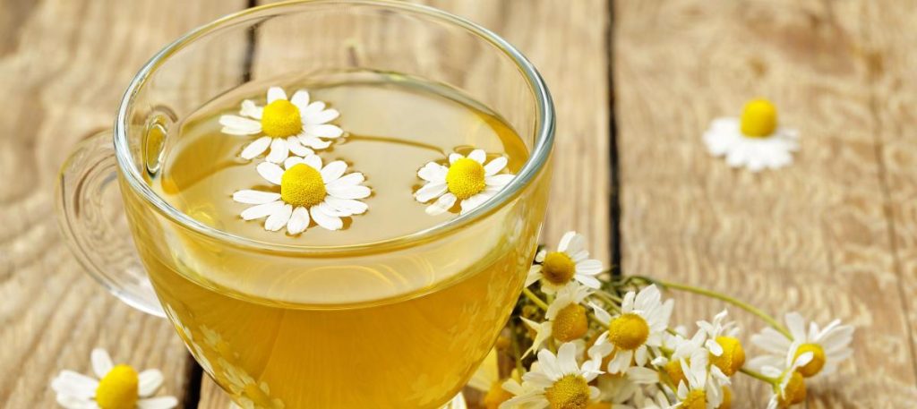 Infusiones herbales: La ciencia detrás de la calma y el buen dormir