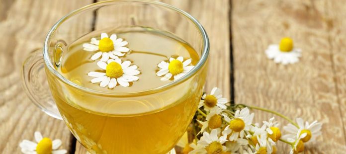 Infusiones herbales- La ciencia detrás de la calma y el buen dormir Infusiones herbales: La ciencia detrás de la calma y el buen dormir