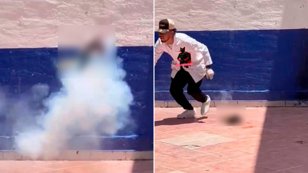 Investigan a estudiantes de Criminología de EDUCEM Pénjamo por crueldad animal tras muerte de gato