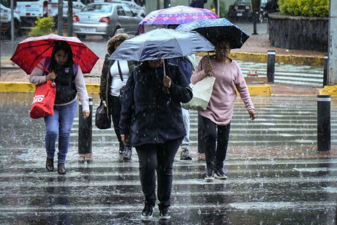 Lluvias y altas temperaturas- el pronóstico del tiempo para el 11 de agosto Lluvias y altas temperaturas: el pronóstico del tiempo para el 11 de agosto