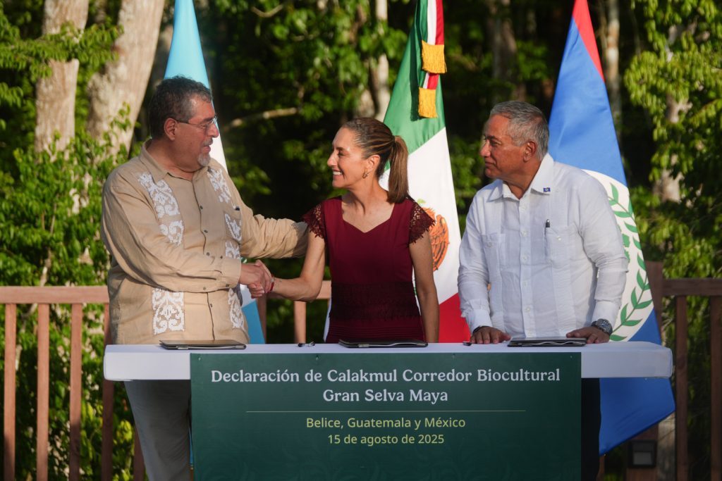 México, Guatemala y Belice, unidos por la gran selva maya