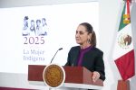 Morena reafirma apoyo a estrategia de seguridad de Sheinbaum y Estados Unidos