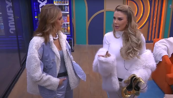 Ninel Conde, ¿ardida tras LCDLF? Revelan guerra en redes contra Mar Contreras y Alexis Ayala