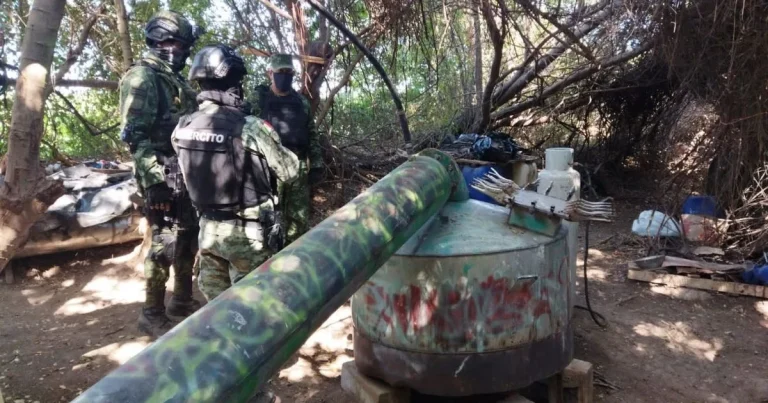 Operativos federales en Sinaloa: golpe millonario a narcolaboratorio y detenciones masivas