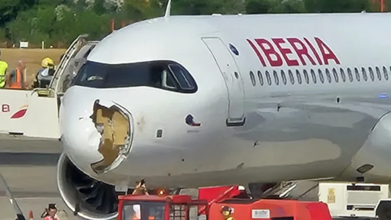 Pánico en vuelo de Iberia tras choque con buitre y aterrizaje de emergencia