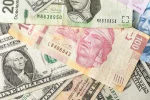 Peso mexicano mantiene su fortaleza ante el dólar por expectativa de la Fed