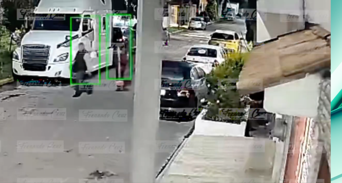 "Lord Cemento": Detenido tras brutal agresión a su vecina por incidente con perro en Cuautitlán Izcalli
