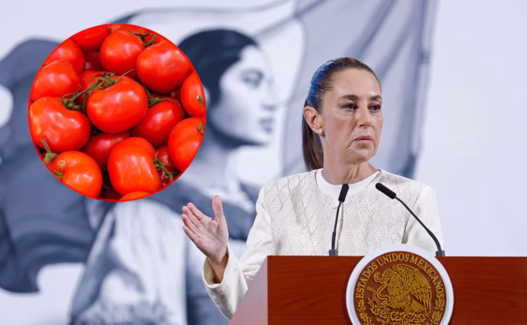 Sheinbaum: 81 mexicanos detenidos en Florida; productores de jitomate logran acuerdo