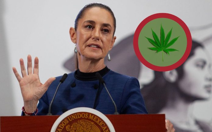 Sheinbaum advierte: Tolerancia de marihuana no debe llevar a narcomenudeo Sheinbaum advierte: Tolerancia de marihuana no debe llevar a narcomenudeo