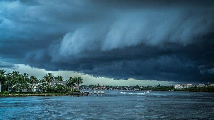 Tormenta tropical Kiko se forma en el Pacífico- sin riesgo para México, pero se fortalecerá Tormenta tropical Kiko se forma en el Pacífico: sin riesgo para México, pero se fortalecerá