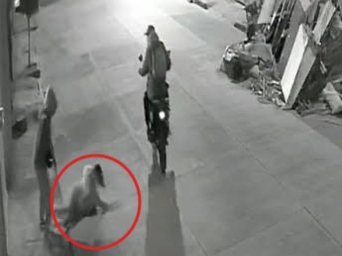 Violento asalto en Chimalhuacán- mujer golpeada en un video viral Violento asalto en Chimalhuacán: mujer golpeada en un video viral