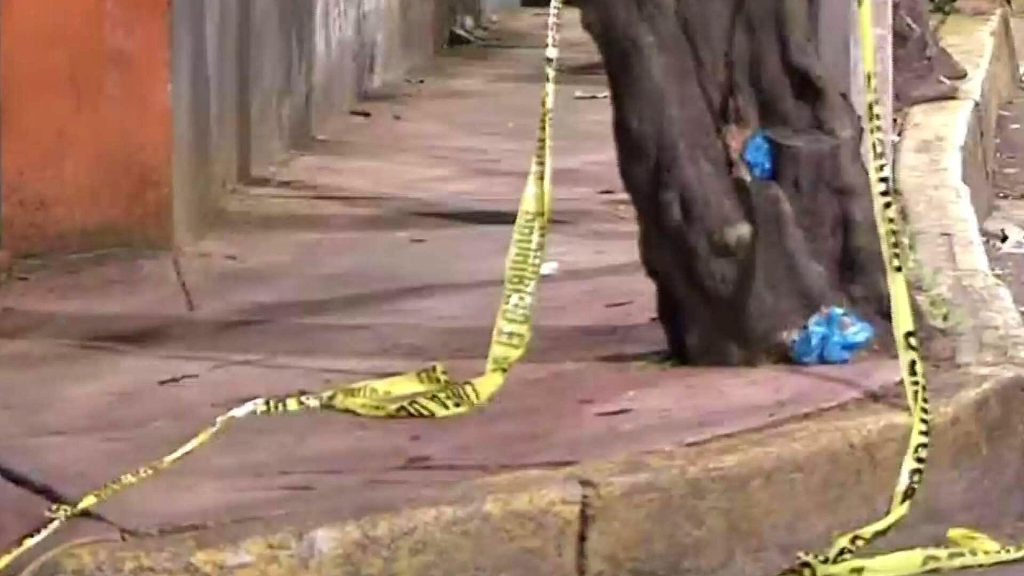 Violento ataque armado en Xochimilco cobra la vida de abuela y nieta