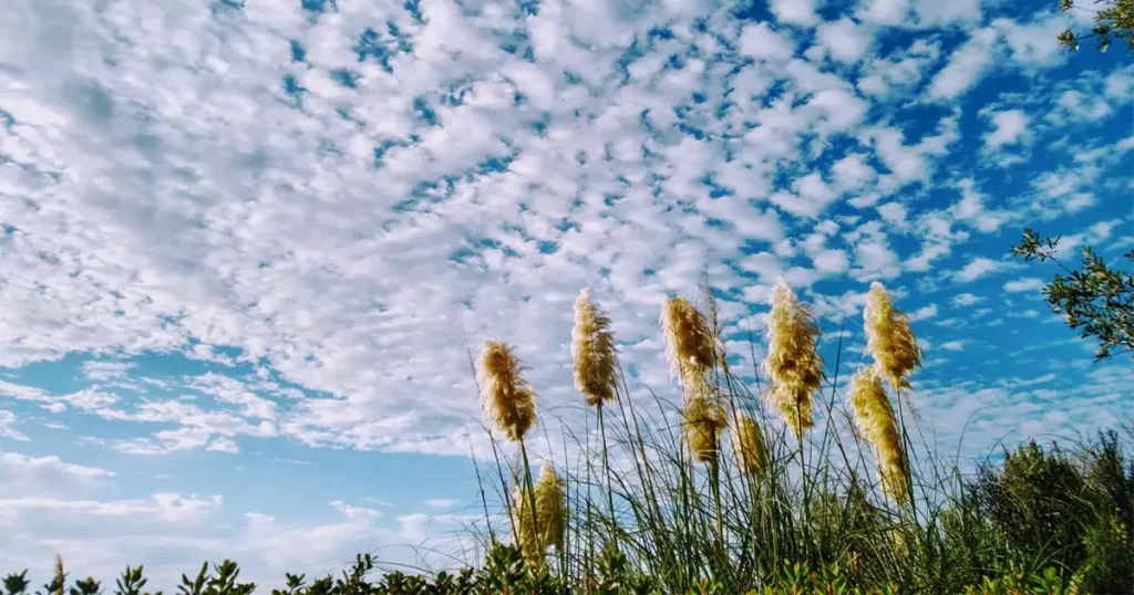 Nubes mammatus y sismos: ¿mito o realidad en la predicción sísmica?