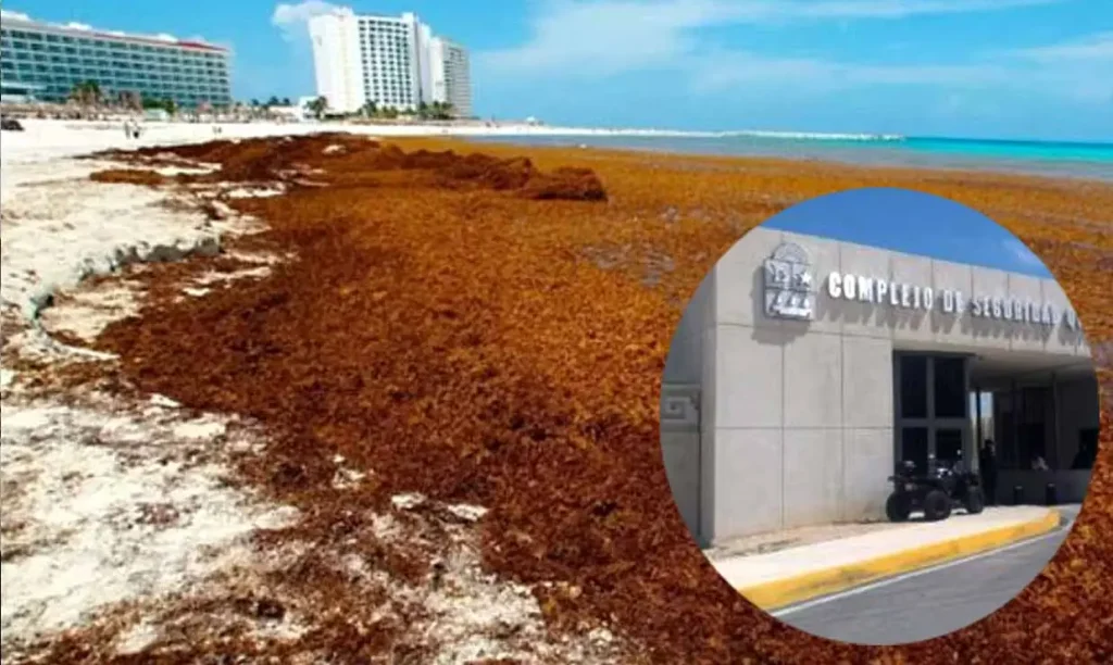 Quintana Roo, pionero en combate al sargazo e inversión turística