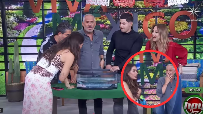 Galilea Montijo- Micrófono abierto revela gritos en programa Hoy Galilea Montijo: Micrófono abierto revela gritos en programa Hoy