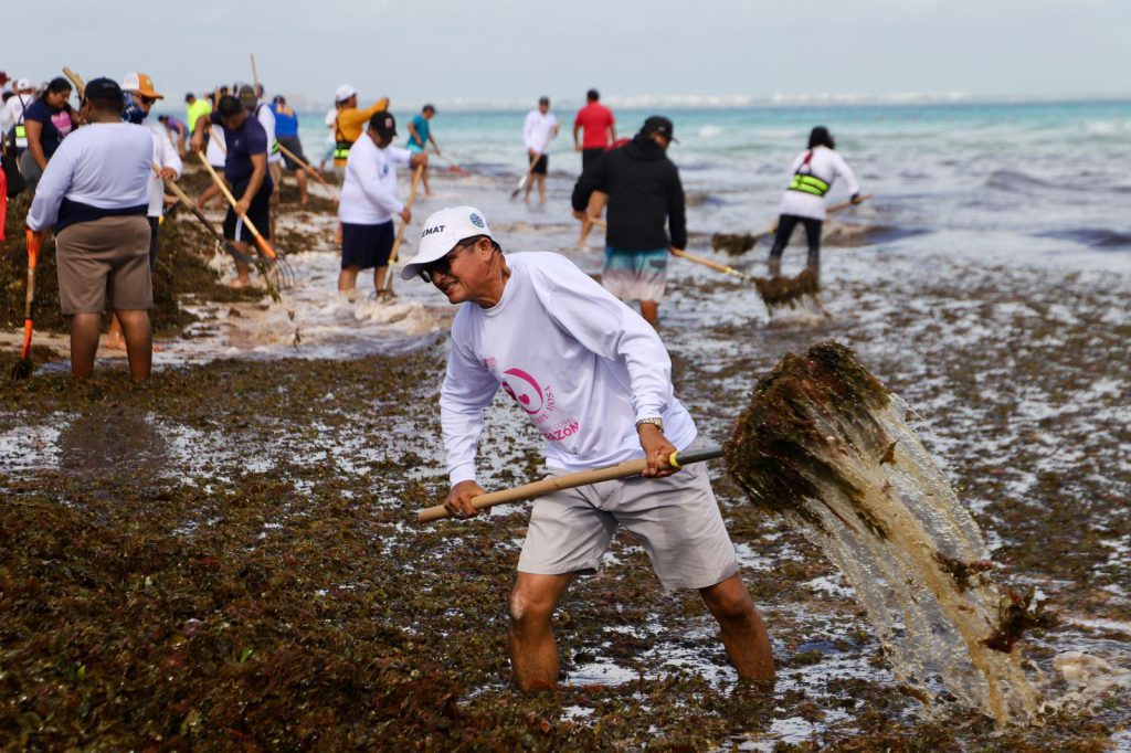 Isla Mujeres: Estrategia exitosa contra el sargazo destacada