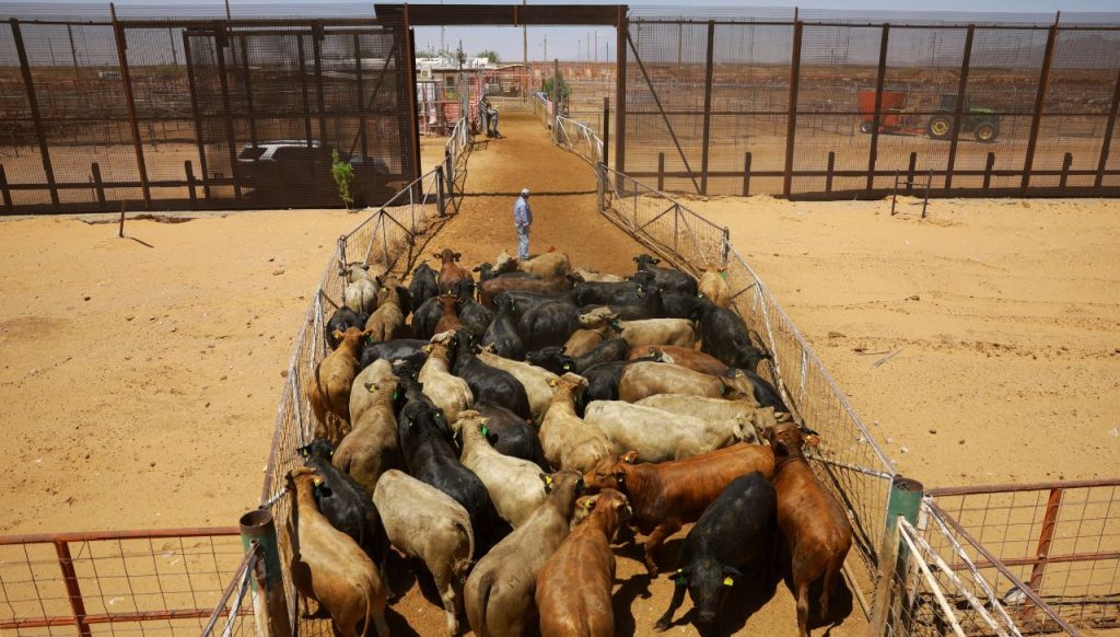 México mantiene acuerdo fronterizo pese a caso de gusano barrenador