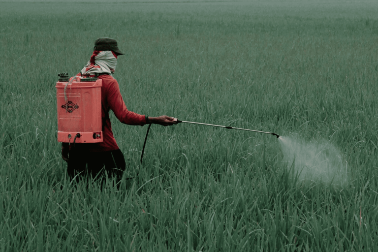 México prohíbe 35 plaguicidas altamente peligrosos en decreto histórico