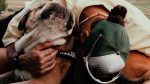 Muere Roscoe, el perro de Lewis Hamilton, en sus brazos