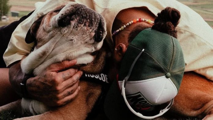 Muere Roscoe, el perro de Lewis Hamilton, en sus brazos Muere Roscoe, el perro de Lewis Hamilton, en sus brazos
