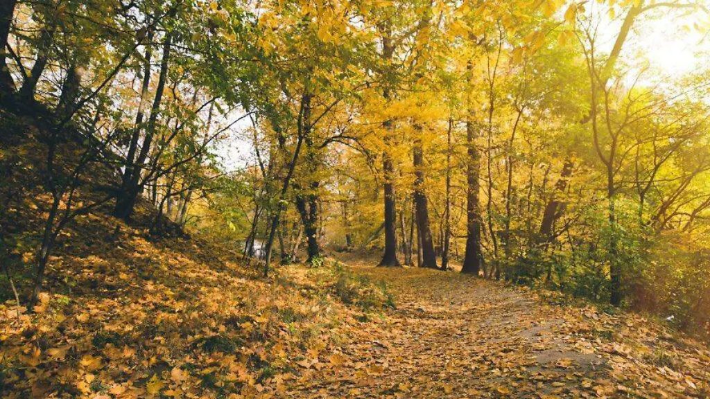 Otoño 2025: Estados de México con temperaturas de 0 a 5 grados