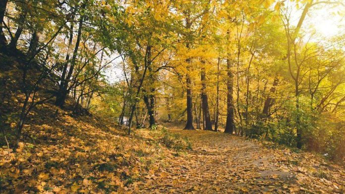 Otoño 2025: Estados de México con temperaturas de 0 a 5 grados